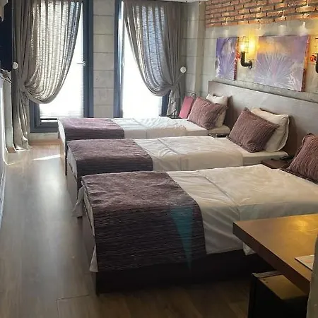 엘리볼